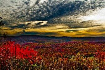Wv Fall Foliage Mountain Sunrise S Nature