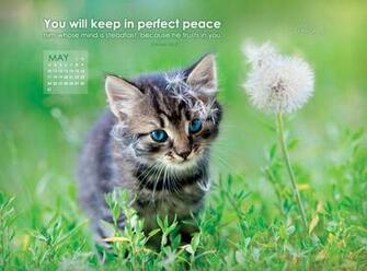 May Perfect Peace Wallpaper Christian