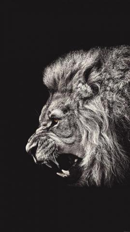 Best iPhone Wallpaper You Must Have It