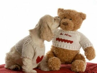 Funny Teddy Bear Wallpaper Atoz Desktop