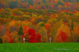Beautiful Autumn Scenery