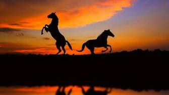 Sunset Animals Silhouette Horses Wallpaper HD
