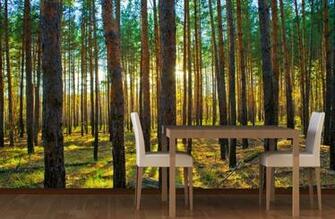 Lined Trees Forest Wallpaper Wall Mural Muralswallpaper Co Uk