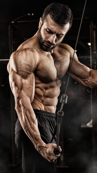 Bodybuilder Wallpaper For Mobile HD 4k