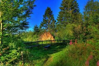 Image Germany Hessen Nature Summer Landscape Photography