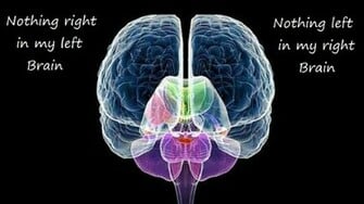 Brain Wallpaper HD Cool Pictures Hi Search Photos