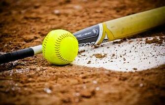 Softball College Bat
