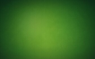 Light Green Texture HD Wallpaper