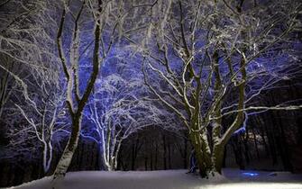 Winter Snow Seasons Light Purple Contrast Color Wallpaper Background