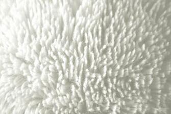 White Fur Wallpaper