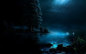 Nature Night Wallpaper Swans Artwork