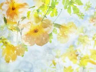Flower Art Summer Bloom Screensaver Screensavers
