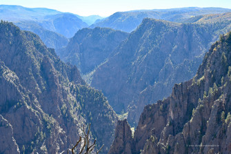 Black Canyon Wallpaper
