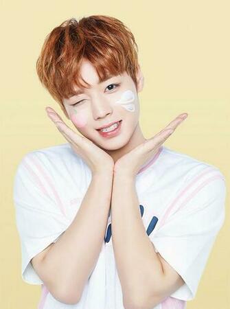 Park Jihoon Pjihoon