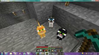 Minecraft Cat Ficspecies