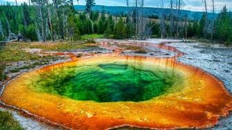Beautiful HD Wallpaper Geyser Yellowstone National Park
