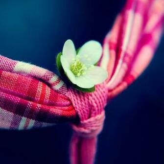 Pink iPad Mini Background Wallpaper Details