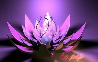 Wallpaper Fleur 3d By Pepgraff