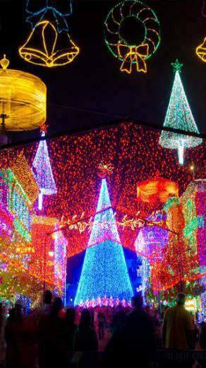 Disney Christmas Photo A Day Holiday Wallpaper From Wdw On The