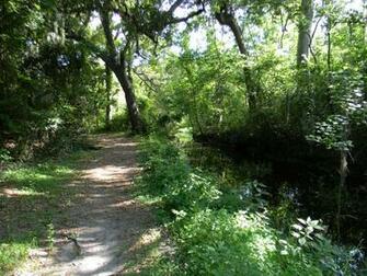 Bird Lovers Florida Scenery Pictures