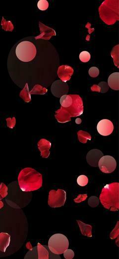 Rose Petals Cute Wallpaper Background