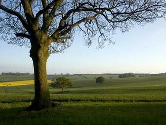 English Countryside Wallpaper