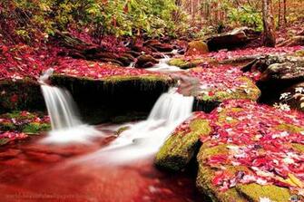 Beautiful Wallpaper Nature Painting
