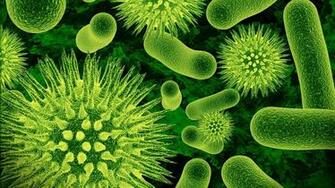 Germs Wallpaper Top Background