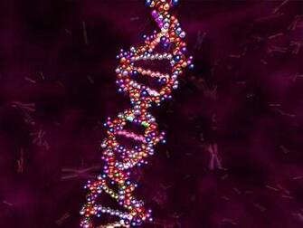 3d Dna Model Screensaver Living Cell