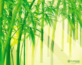 Nursery Plants Bamboo Screensaver