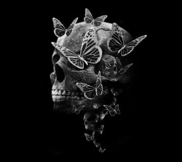 Butterfly Skull Wallpaper