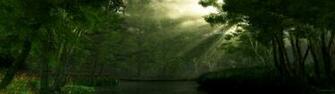 Nature Computer Wallpaper Desktop Background Id