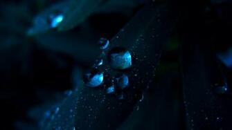 Water Drop Full HD Wallpaper And Background