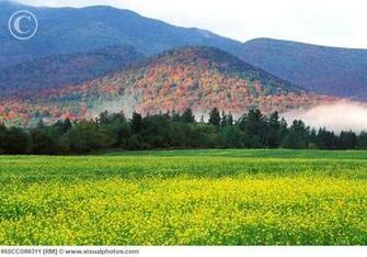 Adirondak Park Upstate Ny