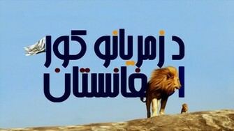 Afghanistan Lion Wallpaper HD By Gultalibk