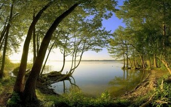 Beautiful Wallpaper For Desktop Nature