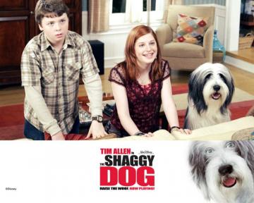 The Shaggy Dog Wallpaper Wallpoper