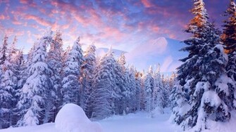 Winter Wonderland Computer Wallpaper Desktop Background