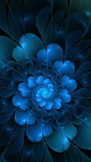 Flower iPhone 5s Wallpaper iPad