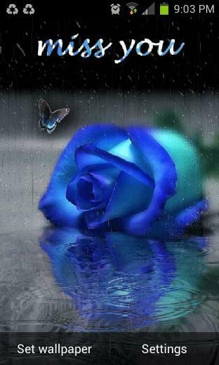 Rose Live Wallpaper Android