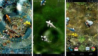 Koi Live Wallpaper Android Apk