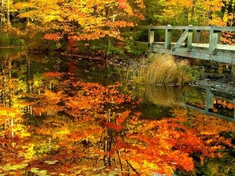 Fall Themed Screensaver