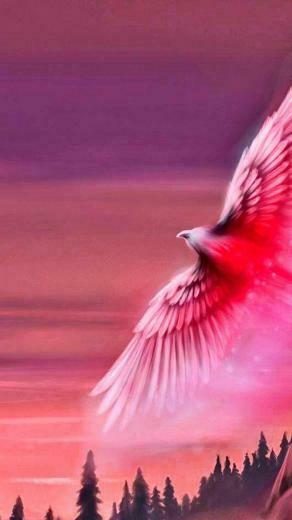 Phoenix Bird Wallpaper
