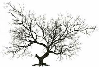 Halloween Tree Nature Mood Bokeh Wallpaper