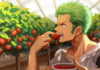 Roronoa Zoro Wallpaper