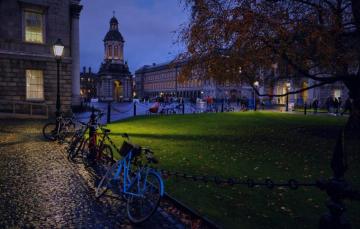 Wallpaper Tree Building Home Area Lantern Ireland Night City