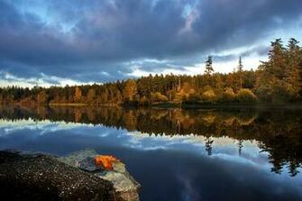 Lake Fall Autumn Trees Forest Wallpaper