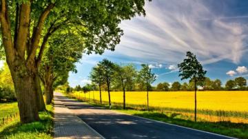 Spring Road Desktop Pc And Mac Wallpaper