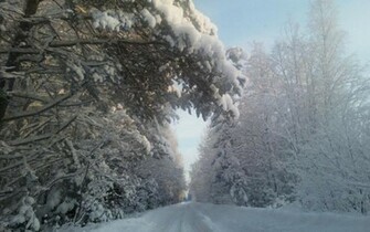 HD Nice Winter Day Wallpaper