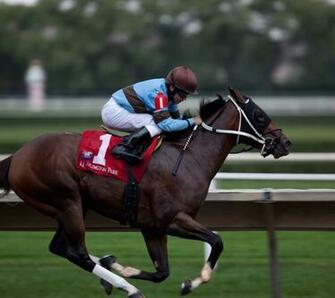 Race Horses